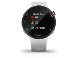 GARMIN Forerunner 45S Blanche 39mm Montre Connectée GPS -Garmin Magasin garmin forerunner 45s blanche 39mm montre connectee gps 3