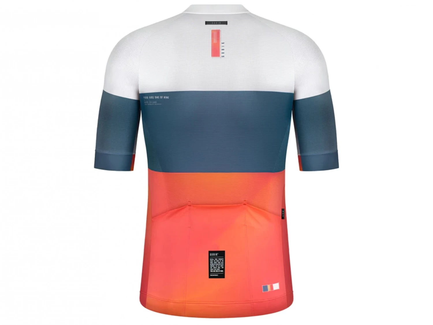 GOBIK CX Pro Cluster Terrestre Maillot Manches Courtes 2022 3 GOBIK CX Pro Cluster Terrestre Maillot Manches Courtes 2022 – Image 2